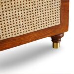 Aaramika handcarved wooden storage trunk with Sheesham wood and cane accent