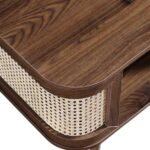 Aurex cane coffee table in Sheesham wood with open storage