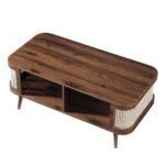 Aurex cane coffee table in Sheesham wood with open storage